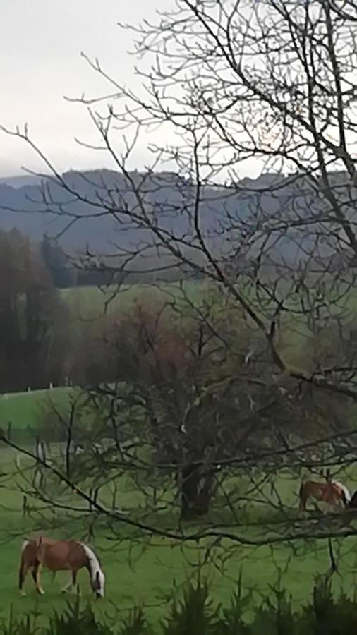 Lichtenhainer Hof Lichtenhain  Eksteriør bilde