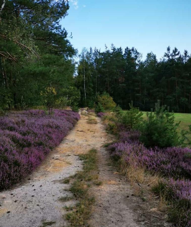 Lichtenhainer Hof Lichtenhain  Eksteriør bilde